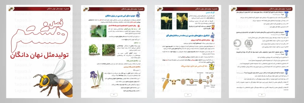 طراحی جزوه زیست